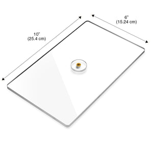 Clear Support Plate